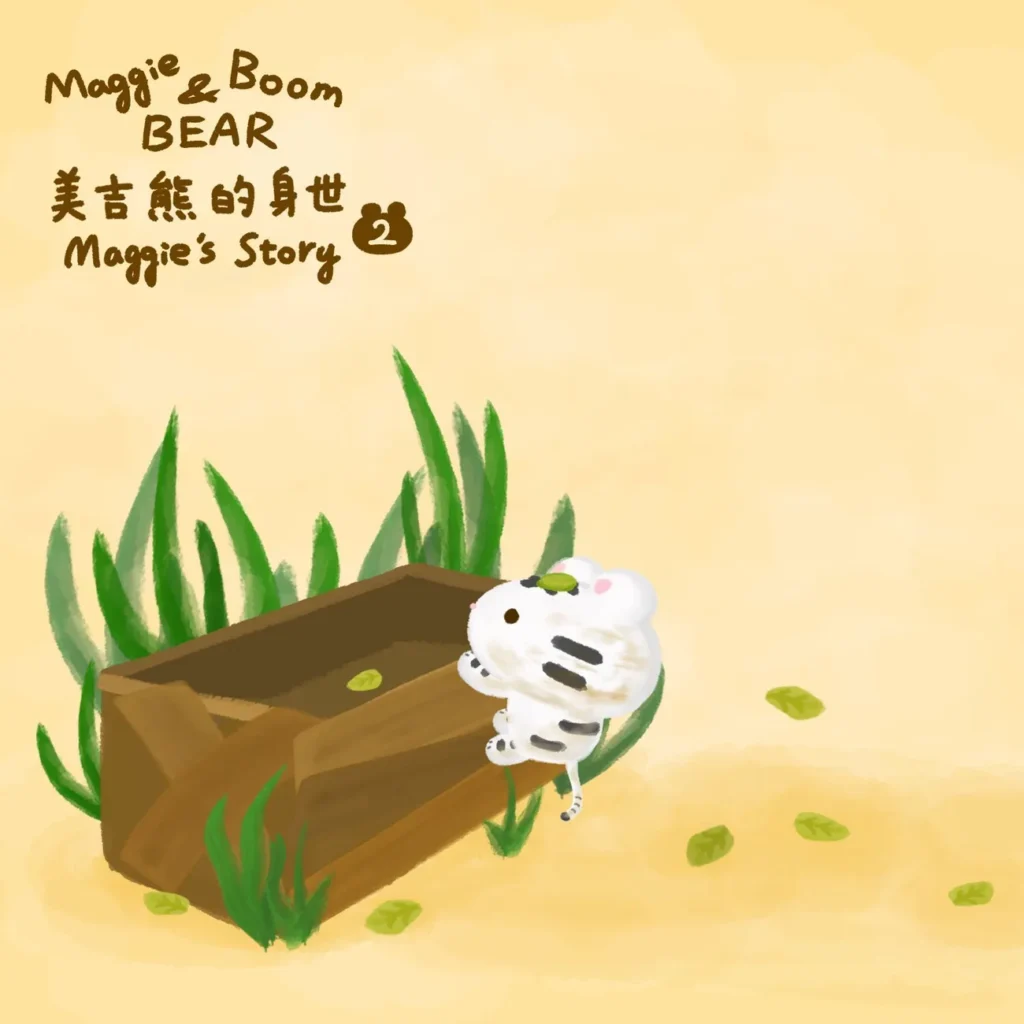 美吉熊的身世揭秘故事